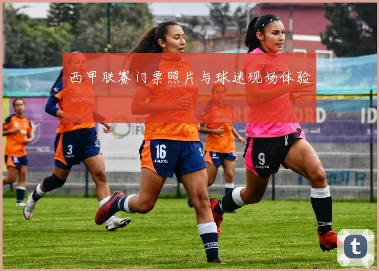 西甲联赛门票照片与球迷现场体验