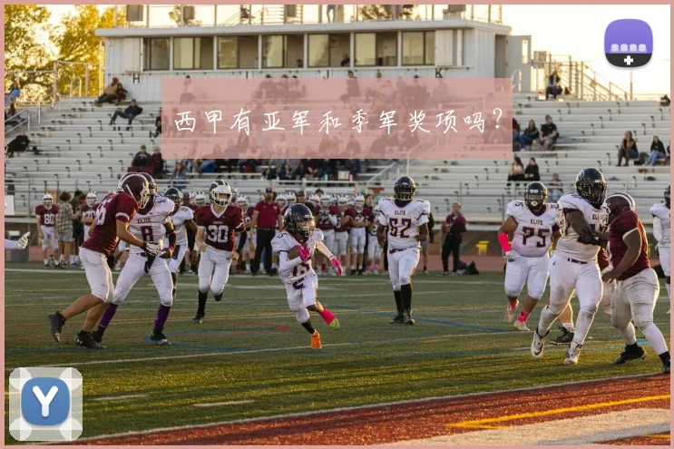 西甲有亚军和季军奖项吗?