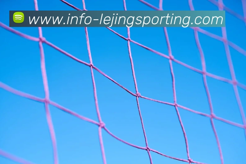 乐竞体育平台生态图